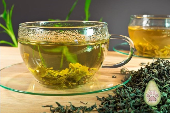 Коли оптимально пити зелений чай: ранок чи вечір?