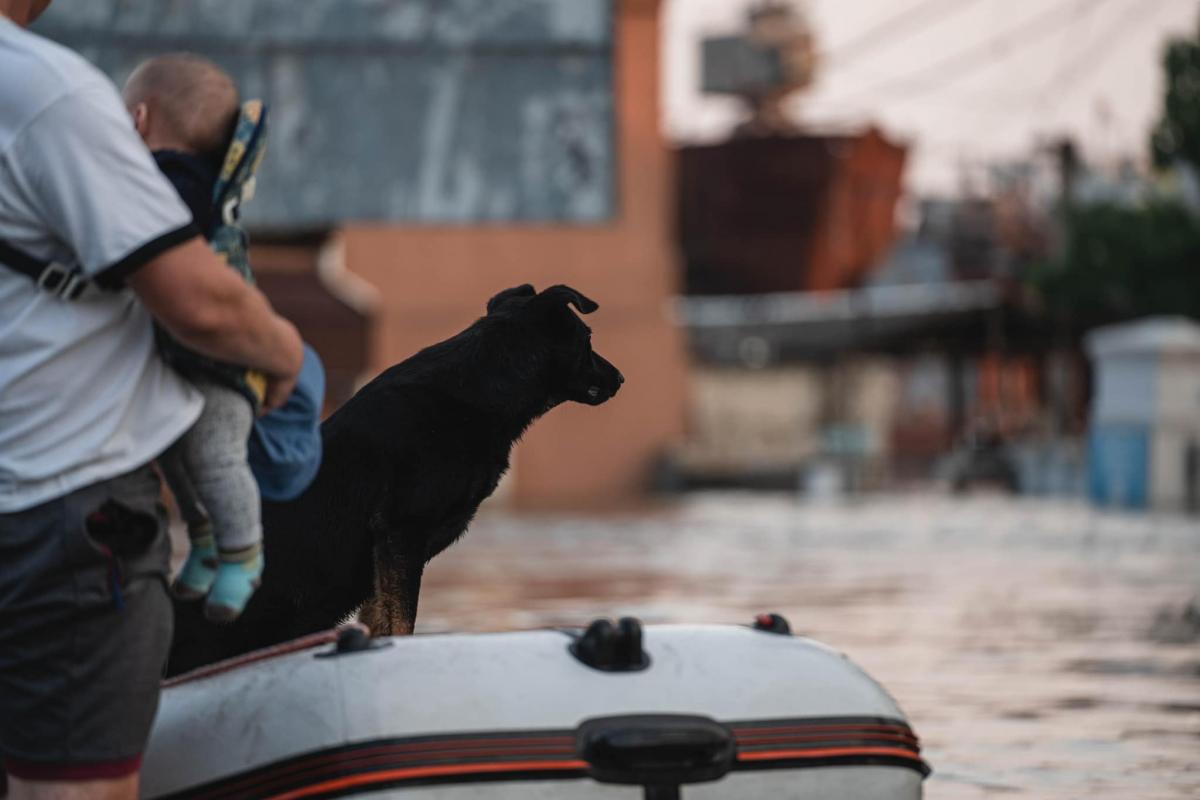 Евакуація людей на Херсонщині Евакуація людей на Херсонщині