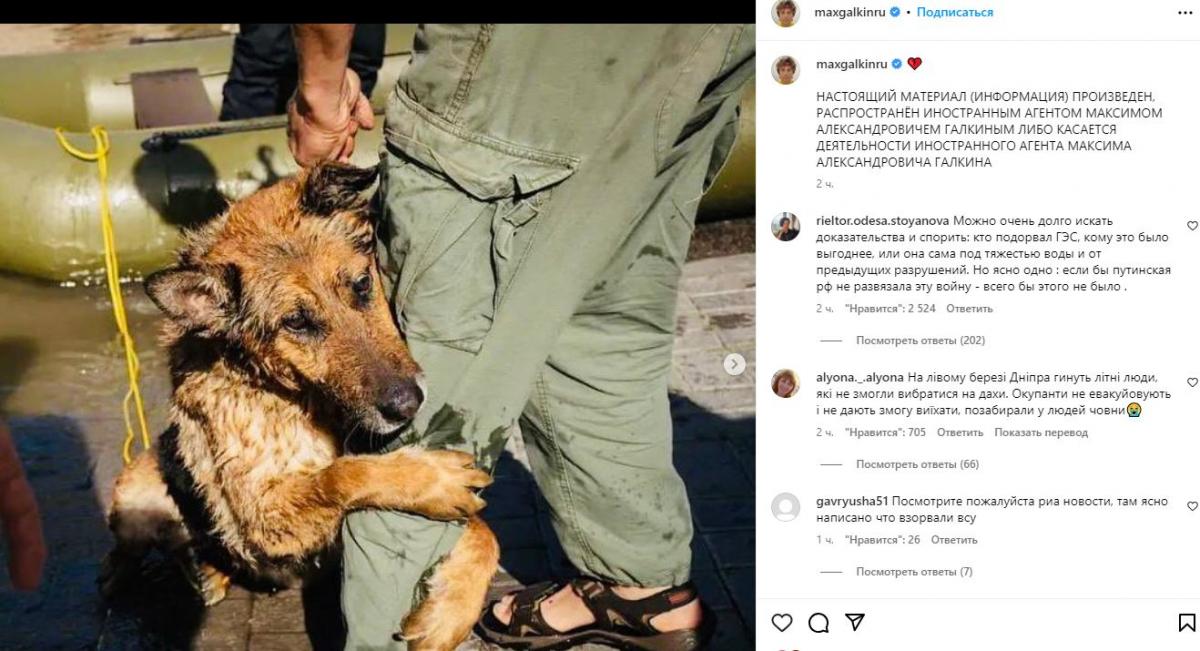 Галкін, скріни