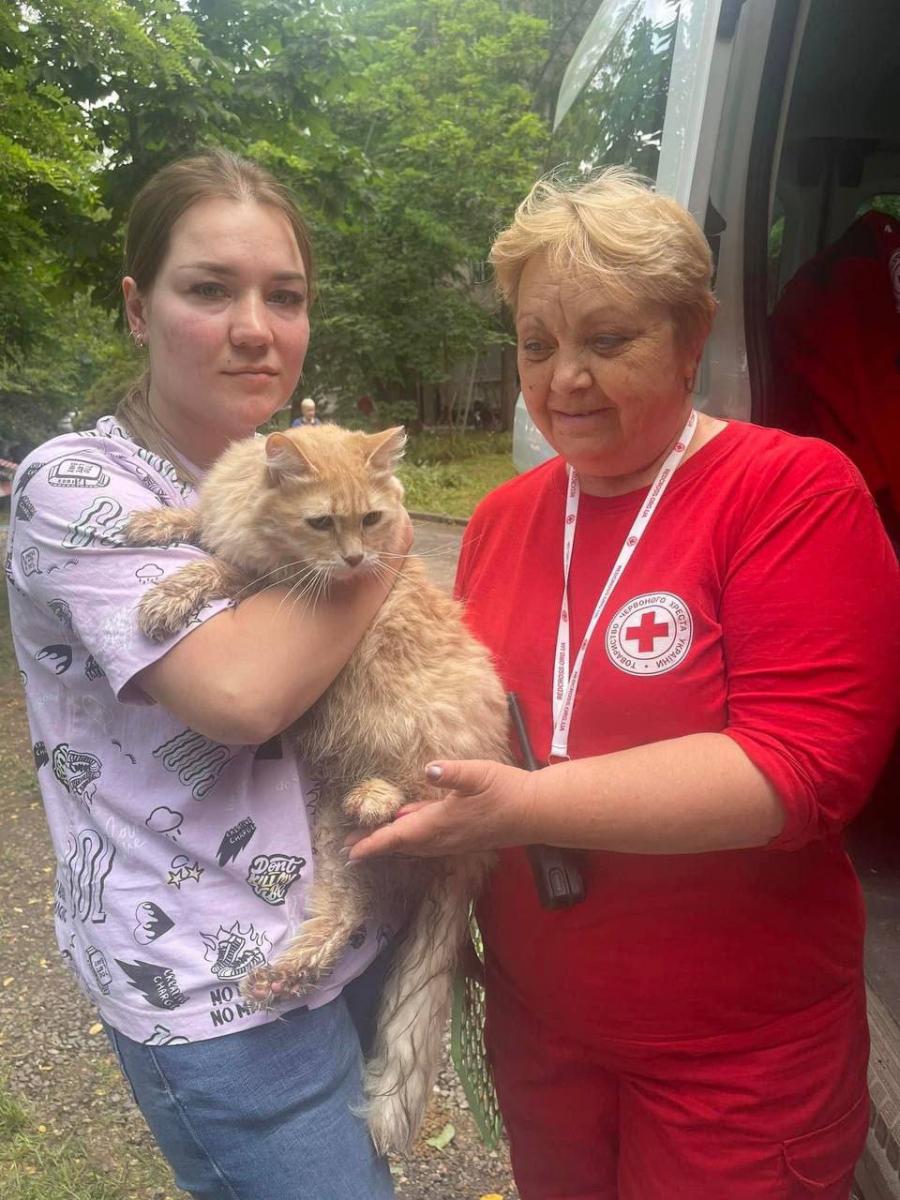 Вночі РФ атакувала ракетами рідне місто Зеленського: у Кривому Розі вже 6 жертв Вночі РФ атакувала ракетами рідне місто Зеленського: у Кривому Розі вже 6 жертв