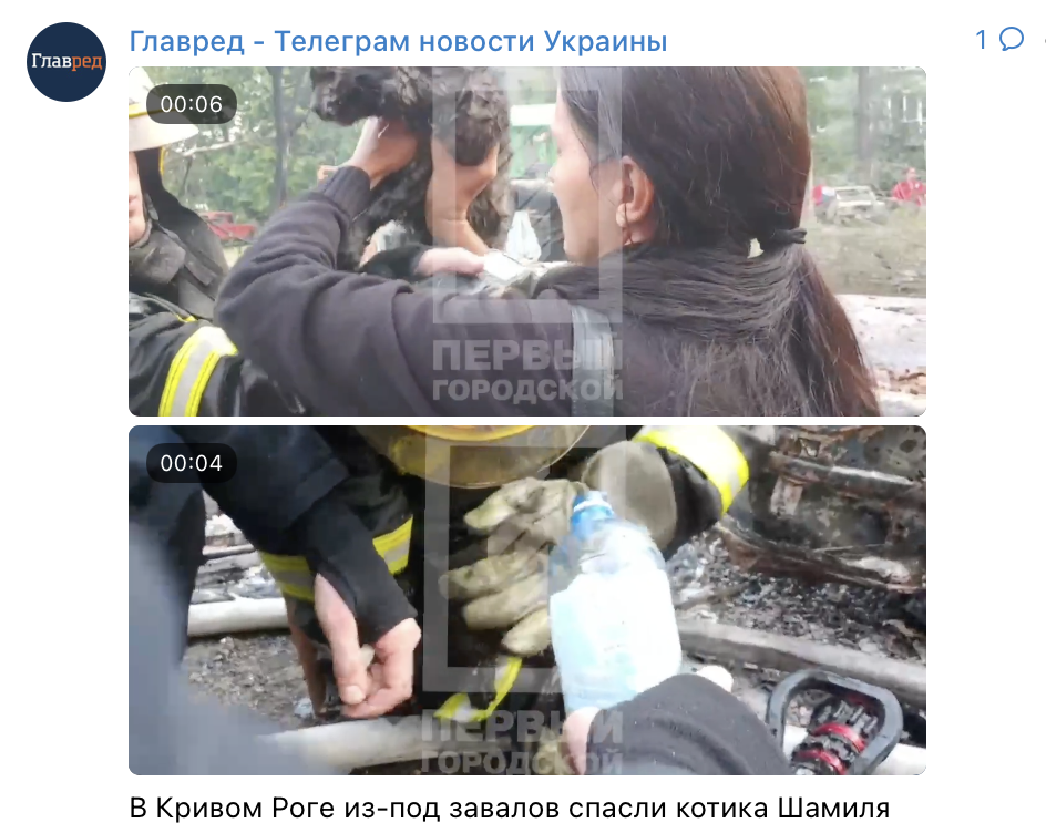 скриншот скриншот