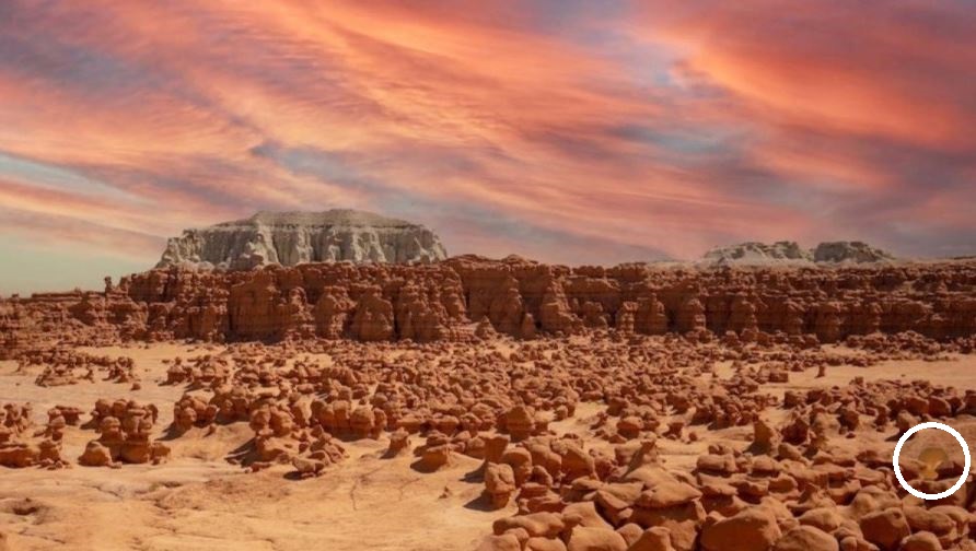 Оптическая иллюзия