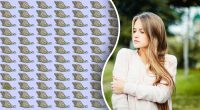 Головоломка для самых зорких: нужно найти странную улитку за 10 секунд