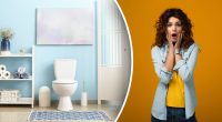 Что будет, если не закрывать крышку унитаза: многих ошеломит этот ответ