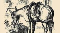 Сложная оптическая иллюзия из 19 века: только люди с высоким IQ найдут лицо всадника