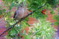 6 червня можна всі гроші втратити: що не можна робити і прикмети дня