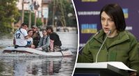 Вони так по-дикунськи це бачать: в Міноборони назвали ціль РФ у підриві дамби ГЕС
