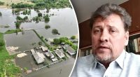 Мало води, тіла тварин і міни: біолог назвав проблеми України після підриву Каховської ГЕС
