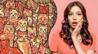 Головоломка на скорость: только единицы найдут звезду среди кошек за 7 секунд