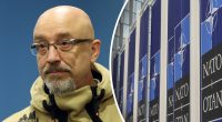Вся страна ждет: Резников потребовал решить вопрос вступления Украины в НАТО