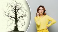 Взрывная оптическая иллюзия: только мудрецы с легкостью найдут 10 лиц на дереве