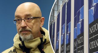 "Вся страна ждет": Резников потребовал решить вопрос вступления Украины в НАТО