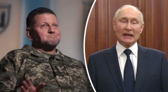 Почему Путин заикается при упоминании фамилии Залужного: экс-депутат Госдумы ответил