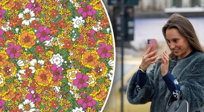 Суперсложная головоломка: нужно найти бабочку среди моря цветов за 10 секунд