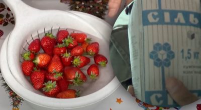 Навіщо замочувати полуницю в солоній воді Навіщо замочувати полуницю в солоній воді