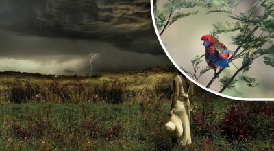 погода, погода в Україні