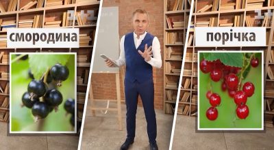 Украинский язык, Александр Авраменко Украинский язык, Александр Авраменко