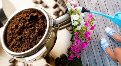 Кава як добриво Кава як добриво