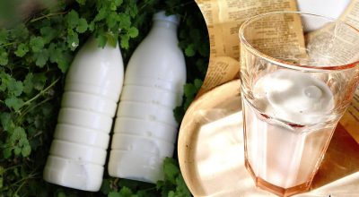Что будет, если пить молоко каждый день Что будет, если пить молоко каждый день