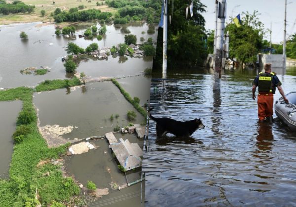 Зниклих безвісти різко стало більше: МВС - про ситуацію на Херсонщині