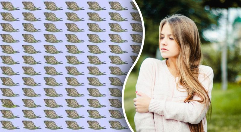 Головоломка для найпильніших: потрібно знайти дивного равлика за 10 секунд