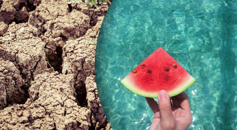 Нестерпна спека: синоптик розповіла, яку погоду очікувати українцям влітку 2023