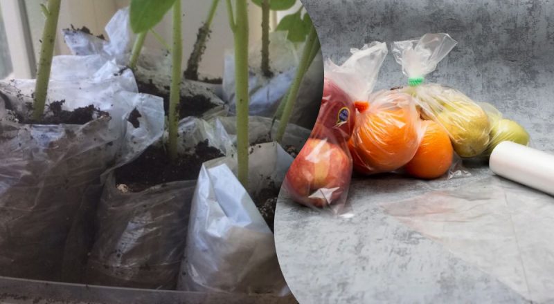 Що робити з поліетиленовими пакетами: 5 способів несподіваного застосування