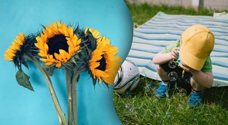 Какой сегодня праздник 9 июня: что отмечают в мире и кого поздравлять