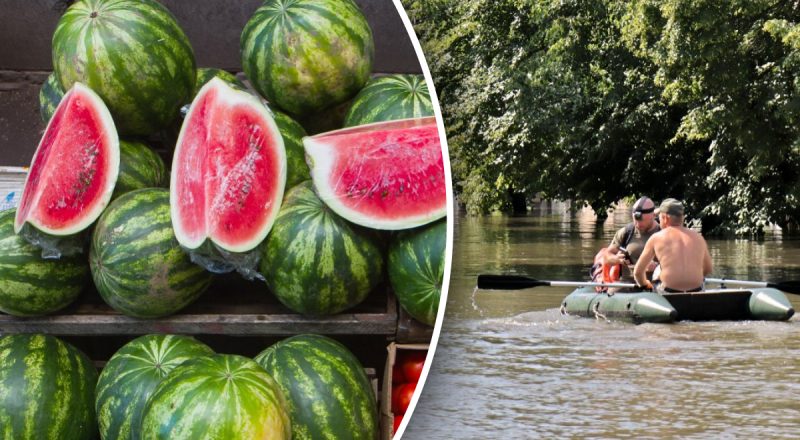 Будут ли арбузы в Украине: аграрии сказали, что будет с урожаем после подрыва ГЭС