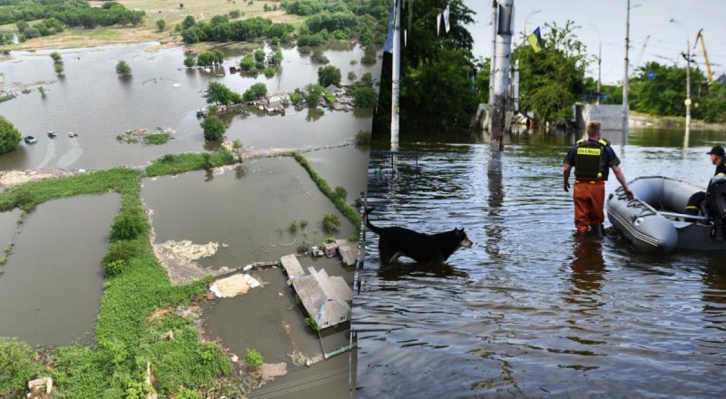 Зниклих безвісти різко стало більше: МВС - про ситуацію на Херсонщині