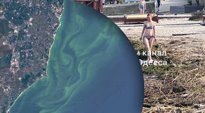Черное море в Одессе "зацвело": эксперты обнаружили опасные бактерии в воде