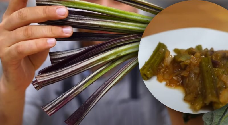 Розумні японці спеціально вирощують лопухи: куди їх застосовують