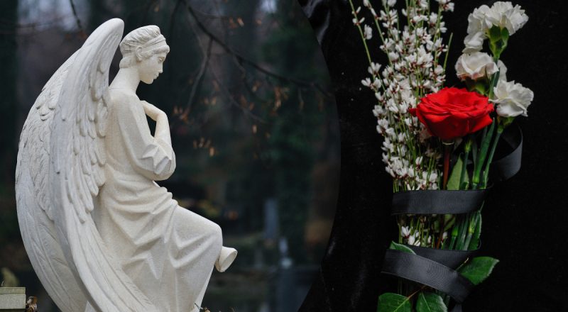 Что посадить на кладбище: нежные цветы, которые выживут при любых условиях