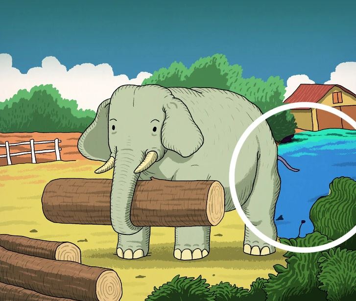 Головоломка, оптическая иллюзия