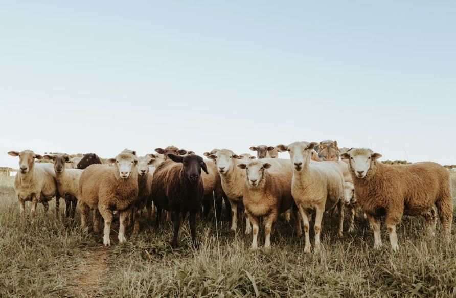 Головоломка