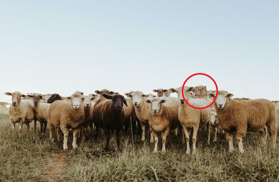 Головоломка