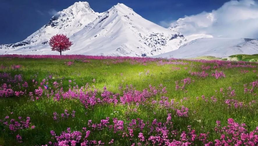 Головоломка, отическая иллюзия, бабочка