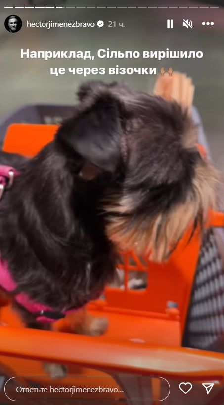 Лупіта Ектор-дама не примхлива Лупіта Ектор-дама не примхлива