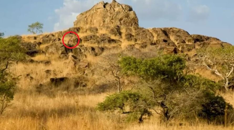 Головоломки