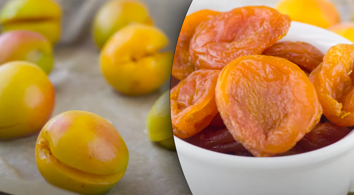 Сушим абрикосы в электрической сушилке — домашняя курага