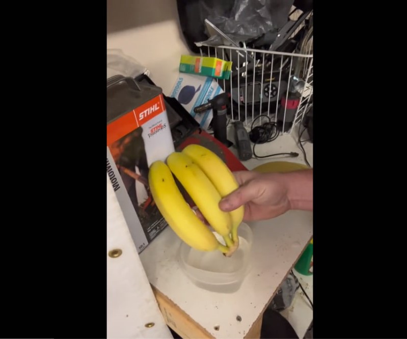 Хитрий трюк вражає: чоловік показав, як зберегти банани свіжими до 15 днів