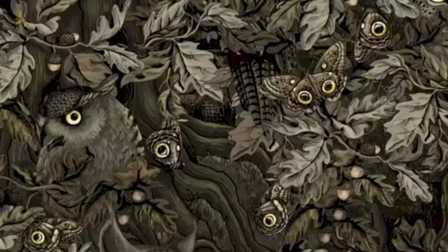 Головоломка Головоломка