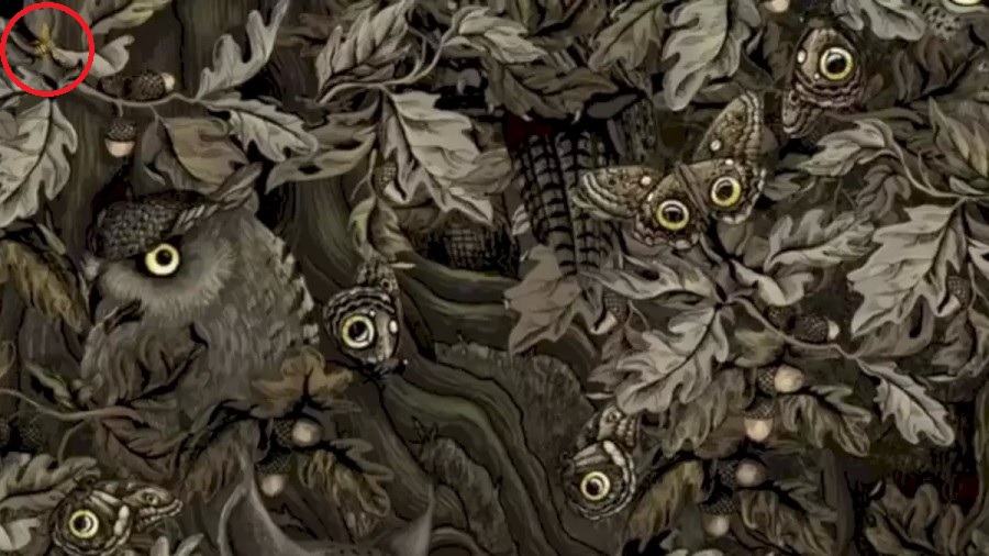 Головоломка Головоломка