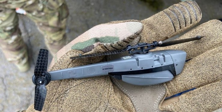 Блек хорнет