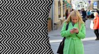 Оптична ілюзія зводить з розуму Інтернет: люди не можуть знайти приховану тварину