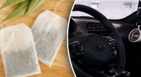 Зачем класть чайный пакетик в авто: ответ удивит многих автомобилистов