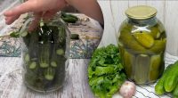 Помилки при засолюванні огірків: 1 інгредієнт позбавляє вас бажаного хрускоту