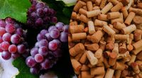 Как можно использовать недопитое вино: 3 удивительных способа спасут напиток