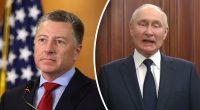 Вражаюча невпевненість: Волкер розкритикував НАТО через позицію щодо України