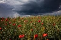 Град засипатиме Україну: мчить штормова злива